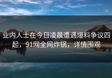 业内人士在今日凌晨遭遇爆料争议四起，91网全网炸锅，详情围观