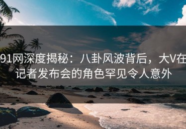 91网深度揭秘：八卦风波背后，大V在记者发布会的角色罕见令人意外