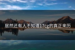 居然还有人不知道17cg的真正来历