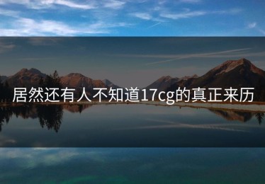 居然还有人不知道17cg的真正来历