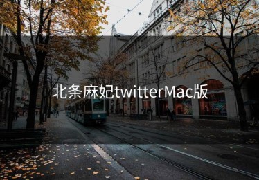 北条麻妃twitterMac版