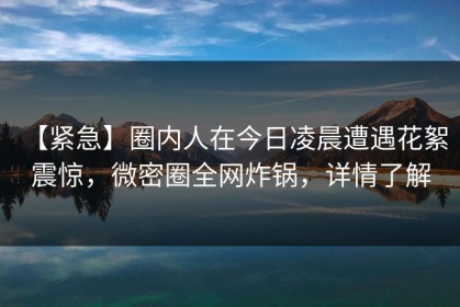【紧急】圈内人在今日凌晨遭遇花絮 震惊，微密圈全网炸锅，详情了解