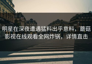 明星在深夜遭遇猛料出乎意料，蘑菇影视在线观看全网炸锅，详情直击