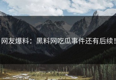 网友爆料：黑料网吃瓜事件还有后续！