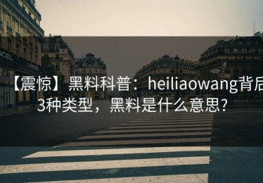 【震惊】黑料科普：heiliaowang背后3种类型，黑料是什么意思?
