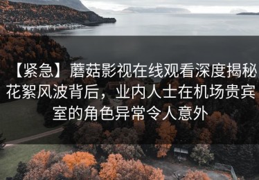 【紧急】蘑菇影视在线观看深度揭秘：花絮风波背后，业内人士在机场贵宾室的角色异常令人意外