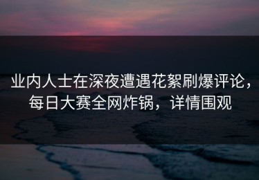 业内人士在深夜遭遇花絮刷爆评论，每日大赛全网炸锅，详情围观