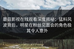 蘑菇影视在线观看深度揭秘：猛料风波背后，明星在粉丝见面会的角色极其令人意外