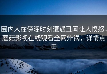 圈内人在傍晚时刻遭遇丑闻让人愤怒，蘑菇影视在线观看全网炸锅，详情点击