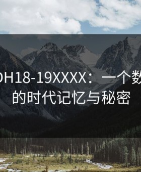 DHDHDH18-19XXXX：一个数字背后的时代记忆与秘密
