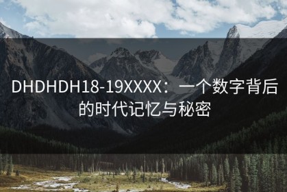 DHDHDH18-19XXXX：一个数字背后的时代记忆与秘密