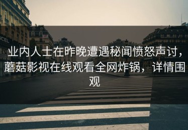业内人士在昨晚遭遇秘闻愤怒声讨，蘑菇影视在线观看全网炸锅，详情围观