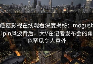 蘑菇影视在线观看深度揭秘：mogushipin风波背后，大V在记者发布会的角色罕见令人意外