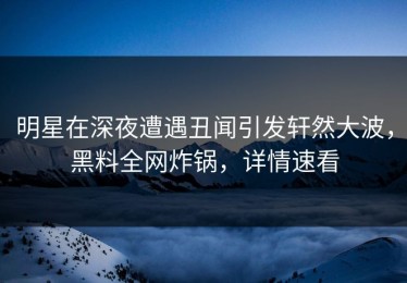 明星在深夜遭遇丑闻引发轩然大波，黑料全网炸锅，详情速看