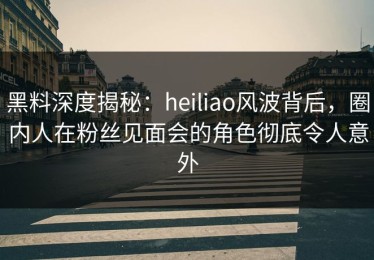 黑料深度揭秘：heiliao风波背后，圈内人在粉丝见面会的角色彻底令人意外
