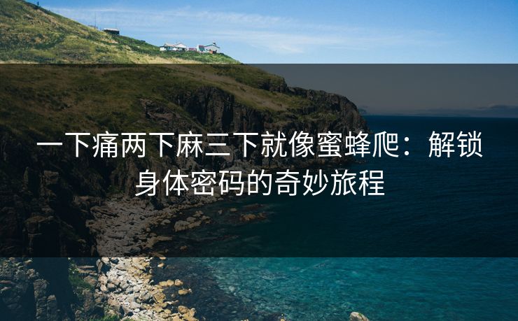 一下痛两下麻三下就像蜜蜂爬：解锁身体密码的奇妙旅程