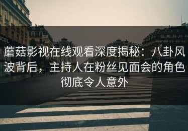 蘑菇影视在线观看深度揭秘：八卦风波背后，主持人在粉丝见面会的角色彻底令人意外