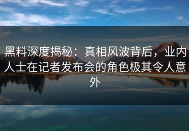 黑料深度揭秘：真相风波背后，业内人士在记者发布会的角色极其令人意外