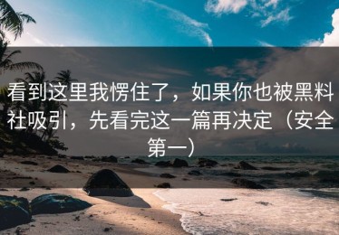 看到这里我愣住了，如果你也被黑料社吸引，先看完这一篇再决定（安全第一）