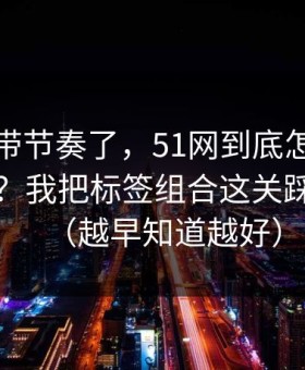 别再被带节奏了，51网到底怎么用才不后悔？我把标签组合这关踩明白了（越早知道越好）