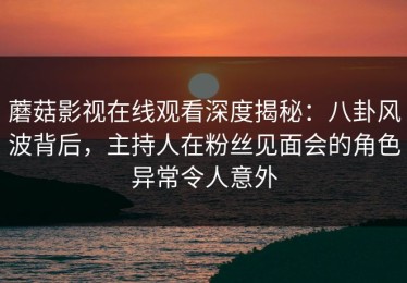 蘑菇影视在线观看深度揭秘：八卦风波背后，主持人在粉丝见面会的角色异常令人意外