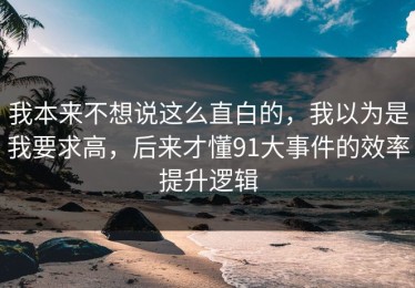 我本来不想说这么直白的，我以为是我要求高，后来才懂91大事件的效率提升逻辑