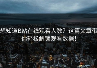 想知道B站在线观看人数？这篇文章带你轻松解锁观看数据！