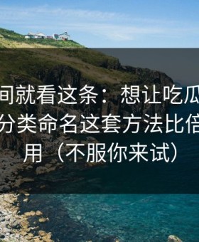 想省时间就看这条：想让吃瓜51更省时间：分类命名这套方法比倍速更管用（不服你来试）
