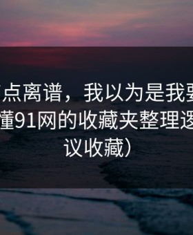 真的有点离谱，我以为是我要求高，后来才懂91网的收藏夹整理逻辑（建议收藏）