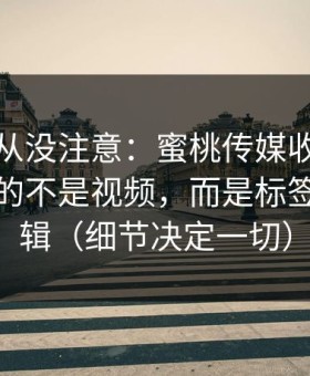 你可能从没注意：蜜桃传媒收藏夹里最值钱的不是视频，而是标签这套逻辑（细节决定一切）