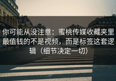 你可能从没注意：蜜桃传媒收藏夹里最值钱的不是视频，而是标签这套逻辑（细节决定一切）